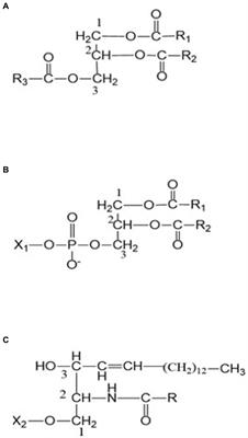 Chickpea (Cicer arietinum L.) as a Source of Essential Fatty Acids – A Biofortification Approach